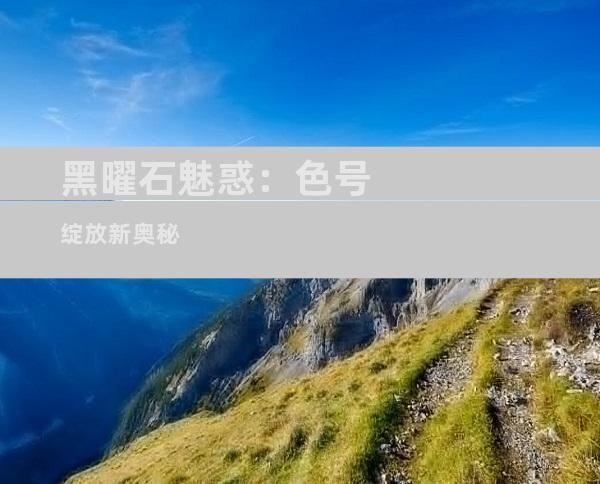 黑曜石魅惑：色号绽放新奥秘