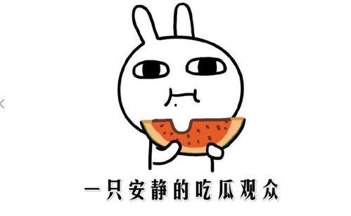 抖音ts黑料吃瓜,吃瓜群众如何解读网络热点